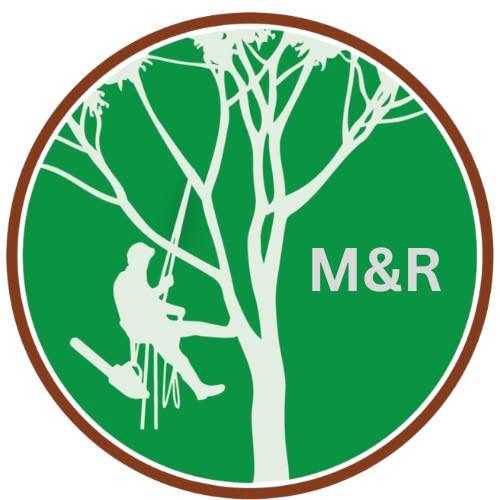 M&amp;R Tree services