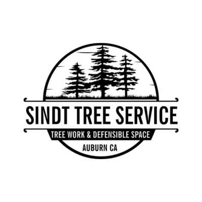 Sindt Tree Service