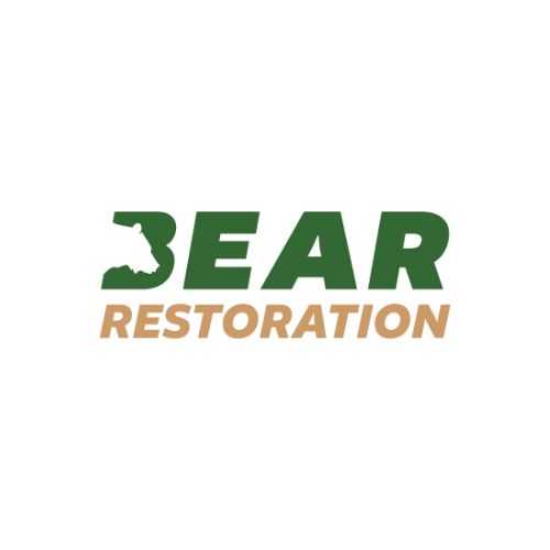 Bear Restoration.jpg